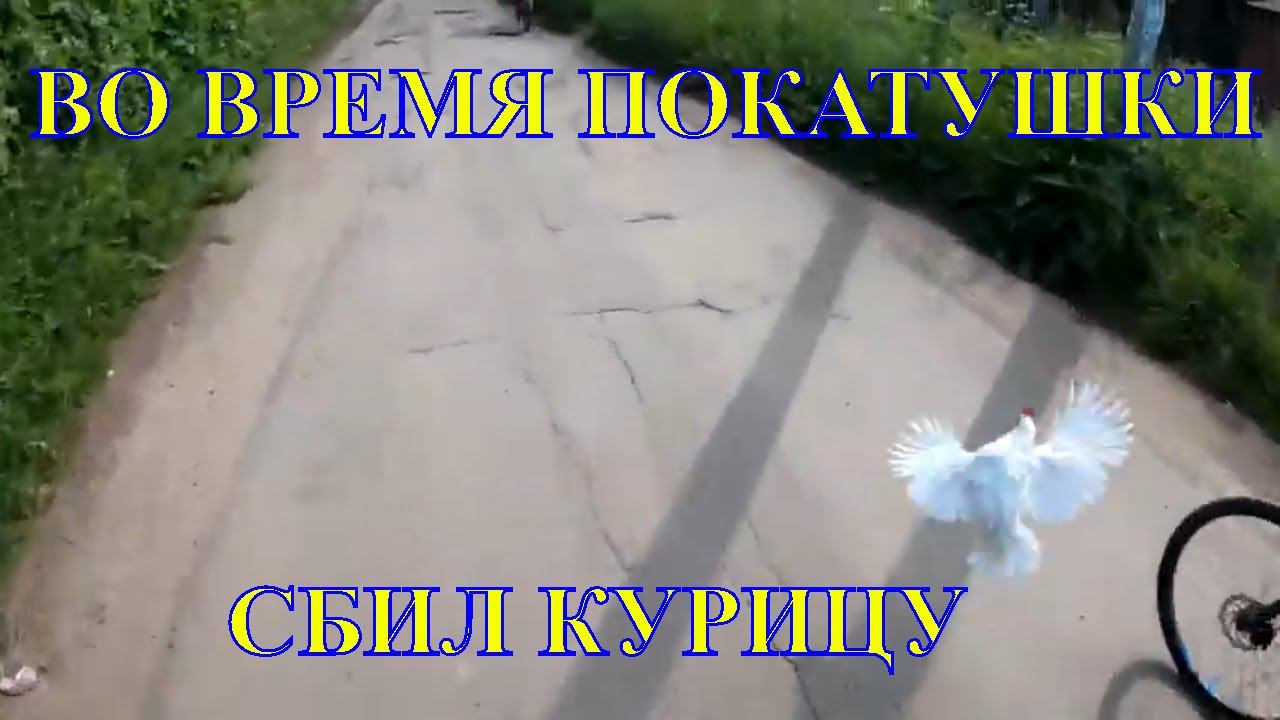 СБИЛ КУРИЦУ во время ВЕЛОПОКАТУШКИ