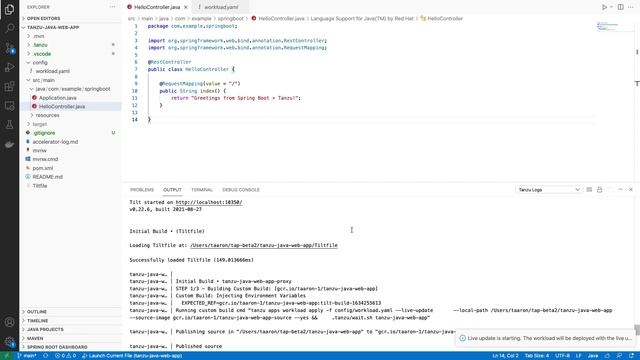 Overview: See the VMware Tanzu Application Platform Developer Experience