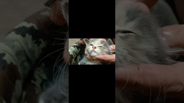 EDIT MACANYA
