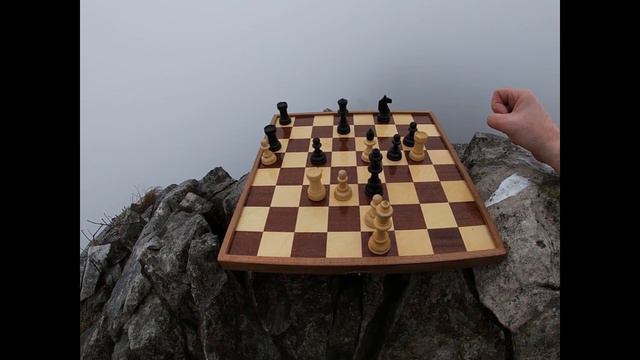 A video of the chess composer Peter Siegfried Krug Петер Зигфрид Круг