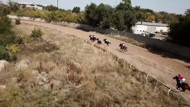 Скачка  4 Приз Казанат на лошадях  2-х лет чистокровной верховой породы 17 09 2020 04
