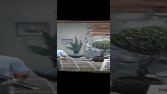 Хотел сломать дверь но УМЕР