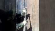 QEV клапан самодельный 2