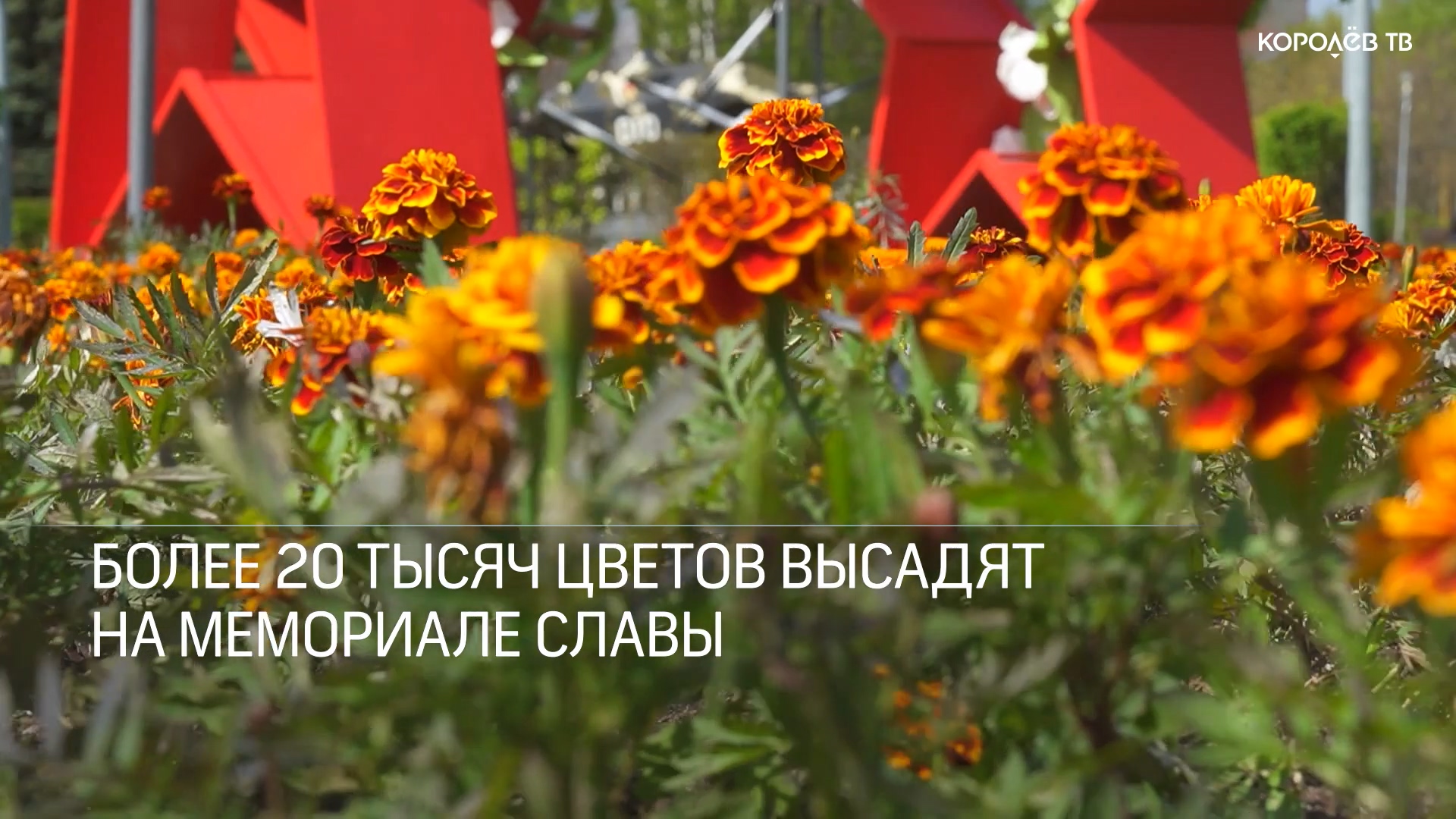 Более 20 тысяч цветов высадят на Мемориале Славы
