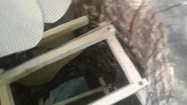 Колода борть для пчел