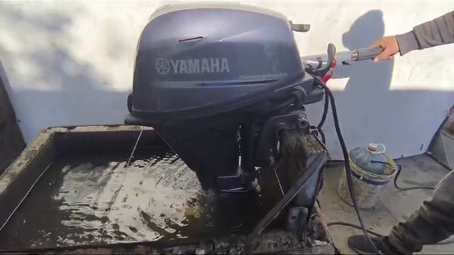 Yamaha F15. Запуск двигателя