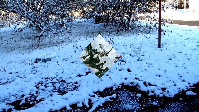 Первый снег.