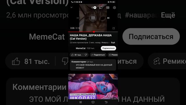 XRecorder_24052024_114554.mp4