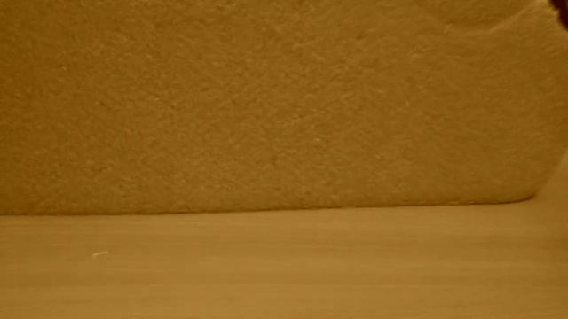 (ВИДЕО-ШУТКА) (1 ВЕК) 100 ЛЕТ ДО НАШЕЙ ЭРЫ!!!!!!!!