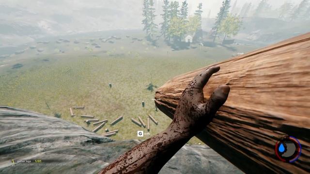 The Forest - S02E10 : WOODCUTTER SIMULATOR 2017