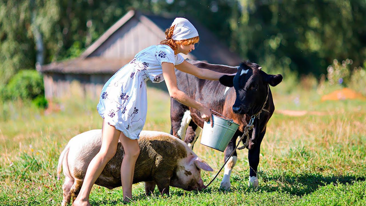 Сельский туризм: туристы помогут фермерам собирать голубику и доить коз | пародия «Просто Подари»