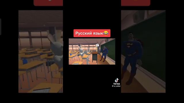 Смешные и милые тик ток видео. Приколы, животные. Tik Tok.