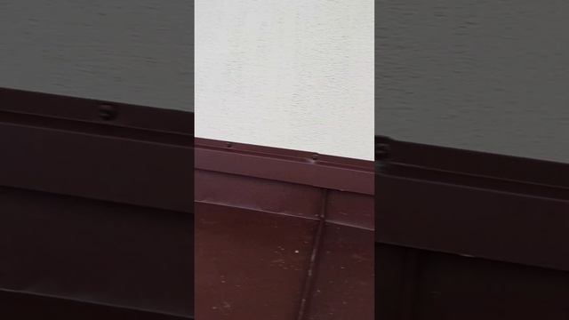 бюндер фальц