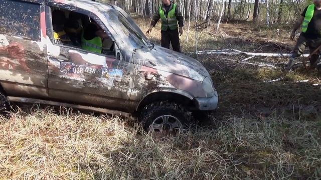 Шнива на "ковре" Ветка Сакуры 2019 Рязань