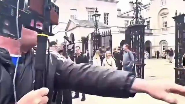 В Лондоне полиция арестовала тиктокера, хотевшего взять интервью к королевским конным гвардейцам