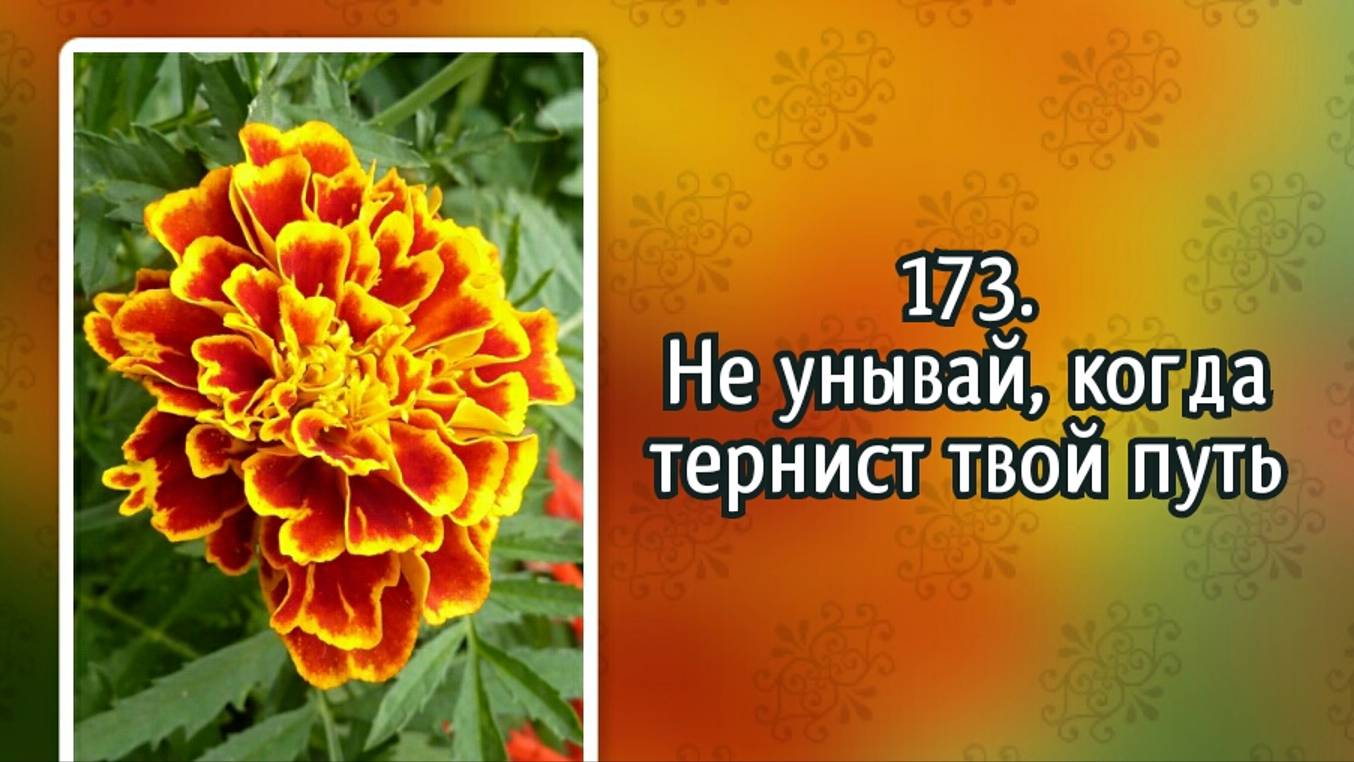 Гимны надежды 173 Не унывай, когда тернист твой путь (-)