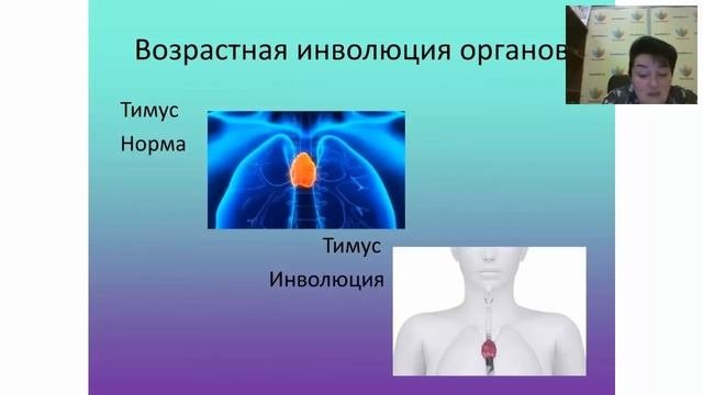 Ревитализация. Часть 1. Вебинар PowerMatrix по продукции от 11.10.2016
