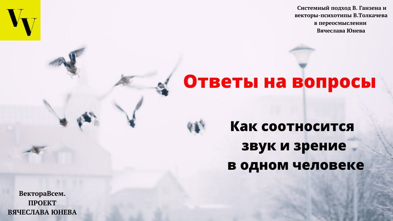 Как соотносится звук и зрение в одном человеке. ВектораВсем. Проект Вячеслава Юнева