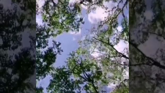 Video.Guru_20220718_222534512.mp4