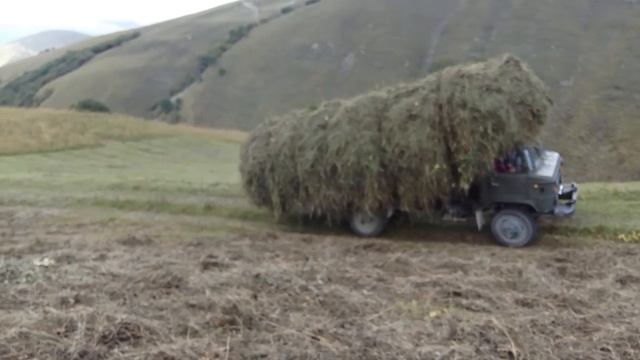 Сезон сенокоса