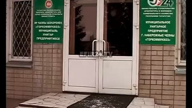 покусанные собаками дети в Челнах