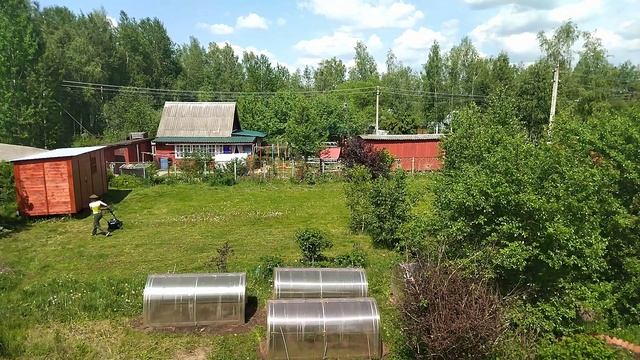 Борьба с одуванчиками или как покосить участок за 2 минуты :)