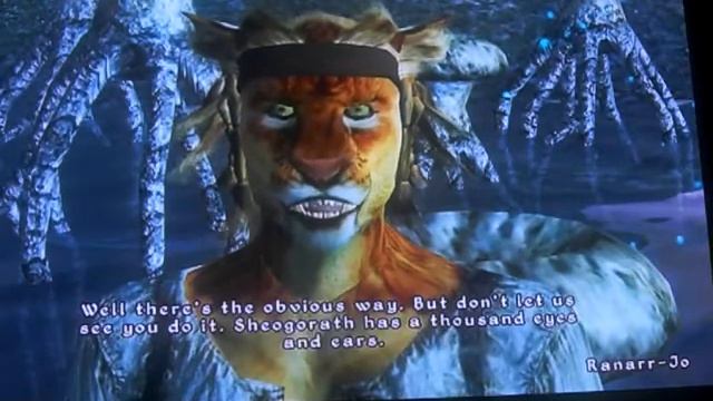 The Elder Scrolls 4: Oblivion - The Shivering Isles - Everything in its place