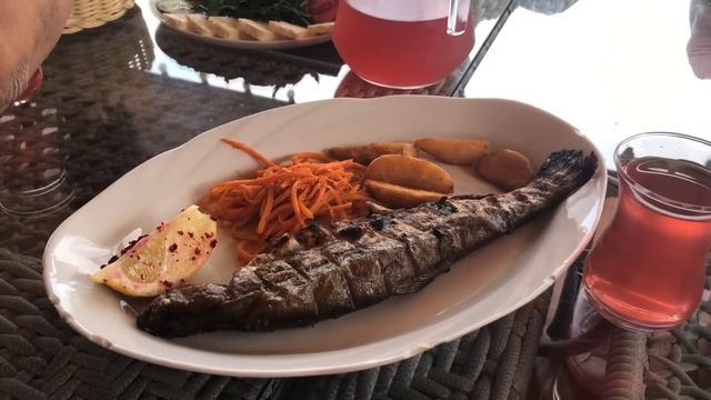 Сулакский каньон и бархан Сарыкум / Дагестан номер 3