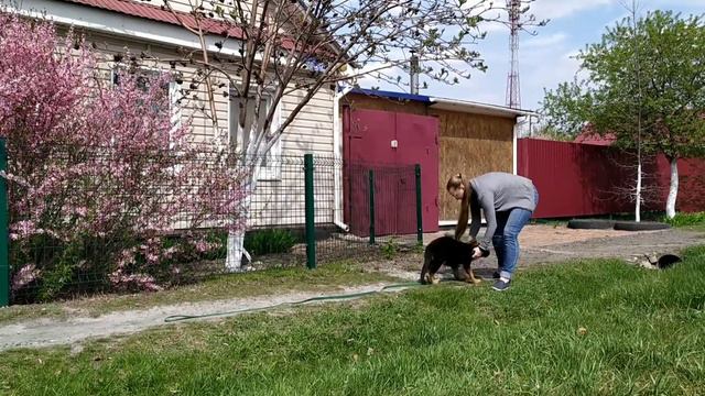 Ванесса Мэй из Белого Яра (f. Леннон из Белого Яра / m. Жанет из Белого Яра)
