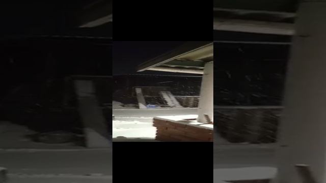 Смотреть видео онлайн