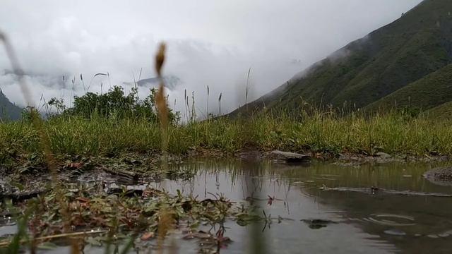 Келеб с. Рукдах,   момент дождя