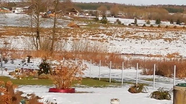 Колокольный звон "врачует" сердце💖12.02.2023г
