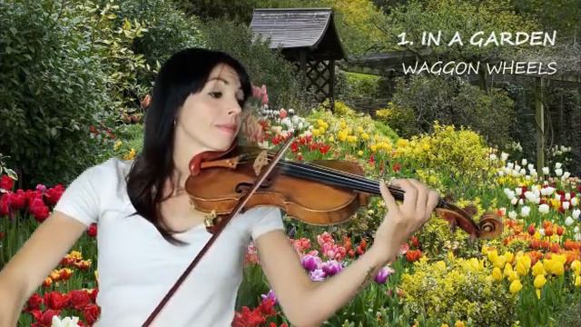 WAGGON WHEELS 1. In the garden