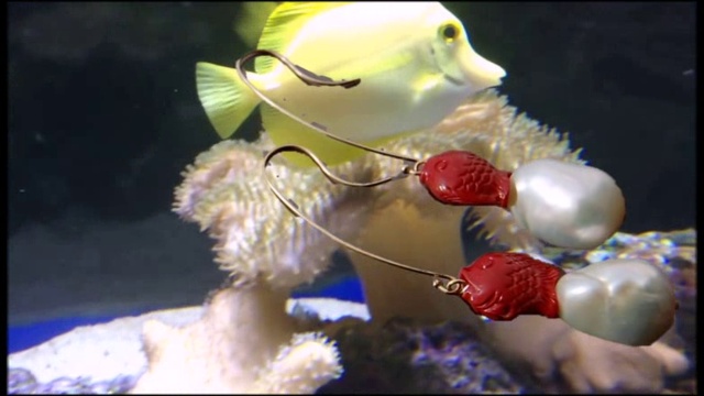 Подарки моря