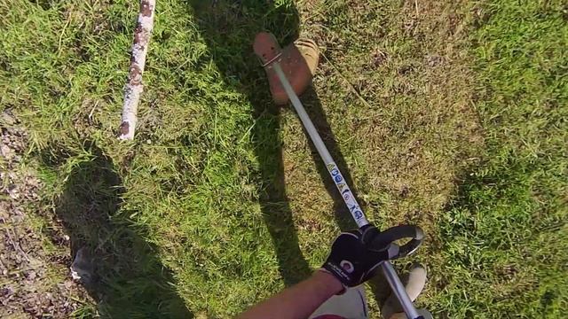 Using the Stihl FSA 86 R