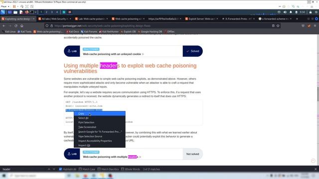 Lab: Web cache poisoning with multiple headers