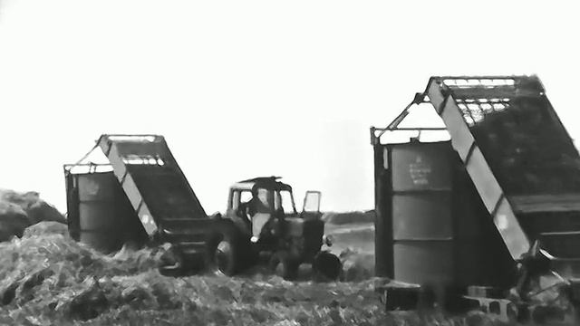 1977 год. Тюменская область. Заготовка сена