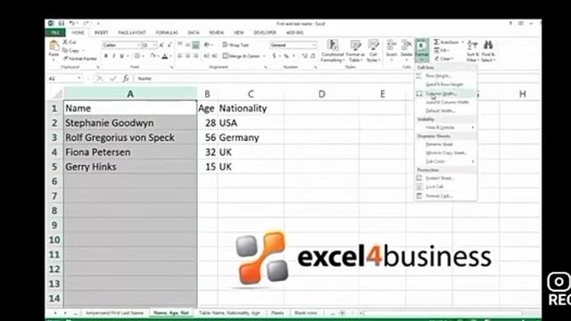 Computer l Class 6 l Ch-5 Editing In MS Excel l Part 6