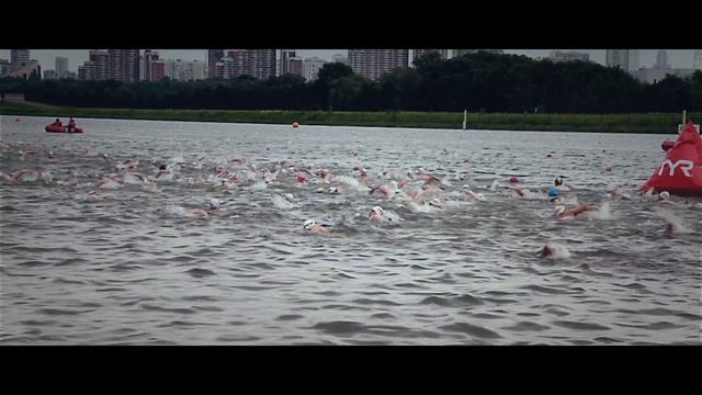 Кубок Чемпионов по плаванию на открытой воде Москва 2015