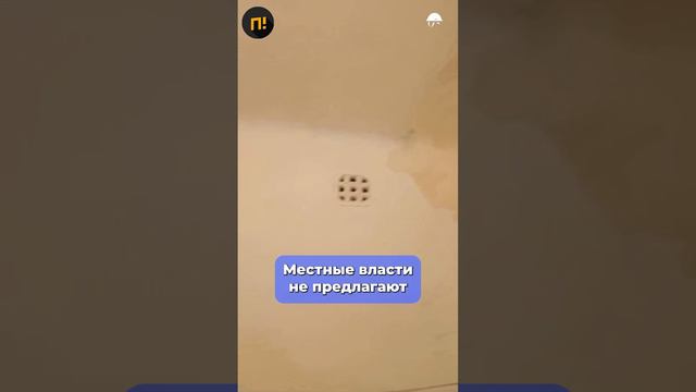 Пенсионерка из аварийного дома в Липецке умоляет Шуфутинского о помощи