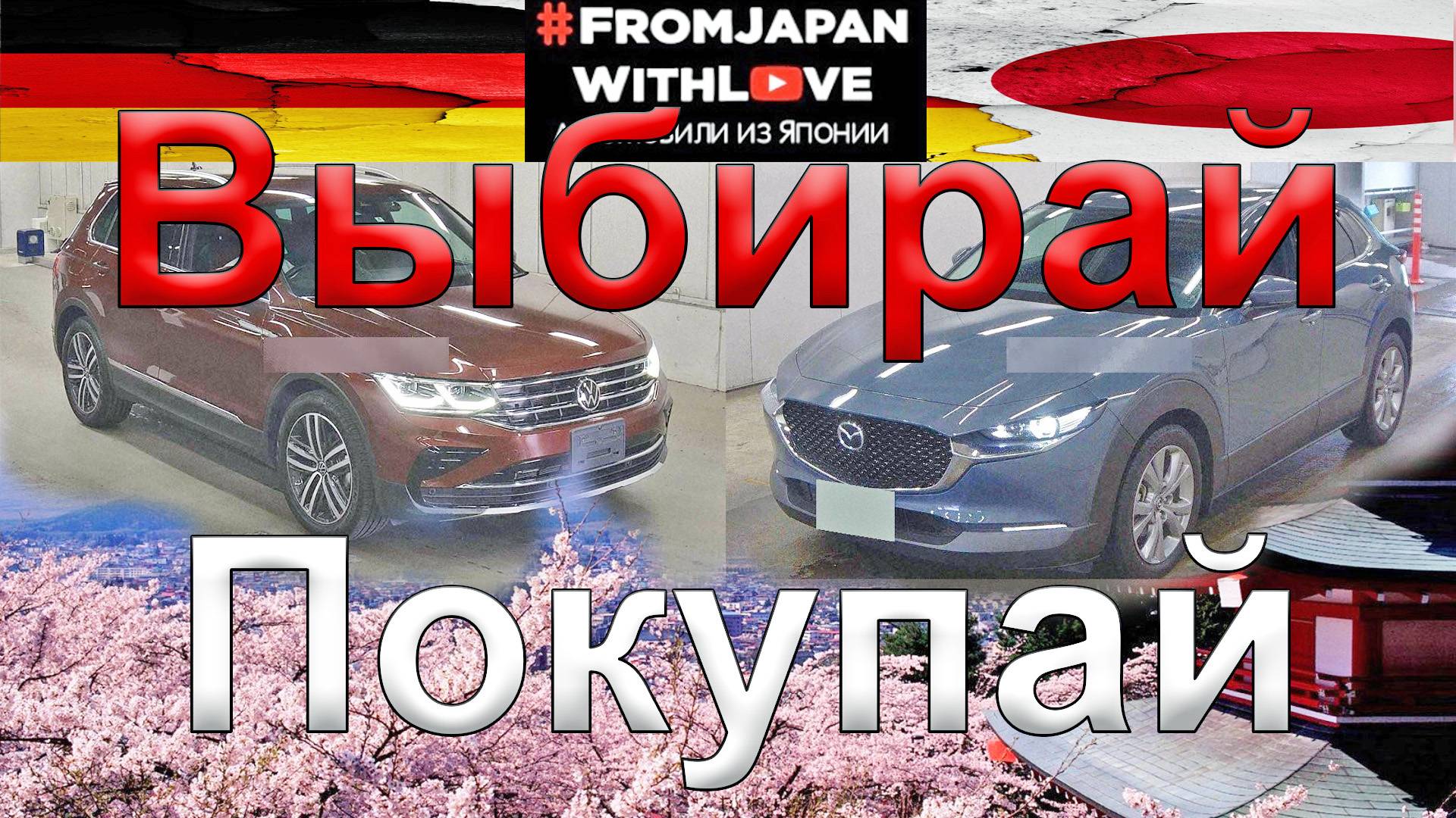 Заказ авто из Японии Южной Кореи Китая: инвойс, курс йены, пробивка по VIN VAG, аукцион через FJWL