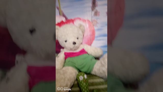 Анкета Милли и что мы сегодня будем делать