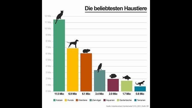 Auf Deutsch  Haustiere с субтитрами
