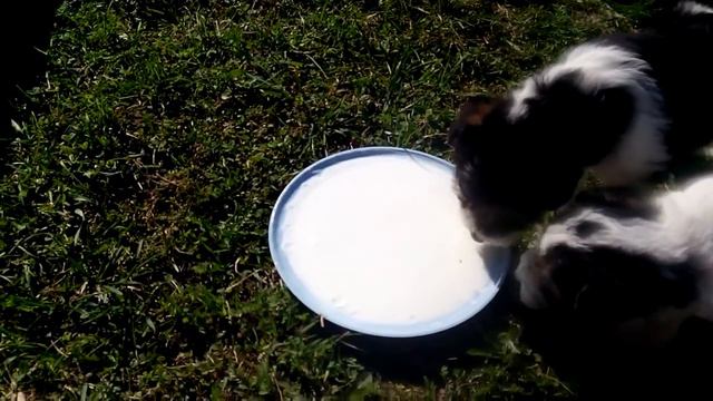 VID 20160501 160619