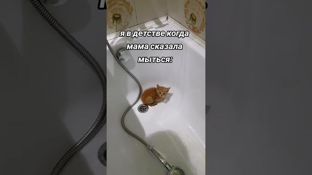 5-летний я когда мама сказала ПОШЛИ МЫТЬСЯ