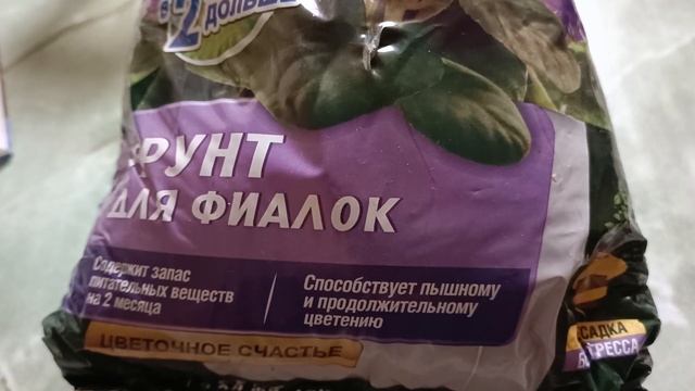 Посадка чернушки красного лука в пеленки с землей