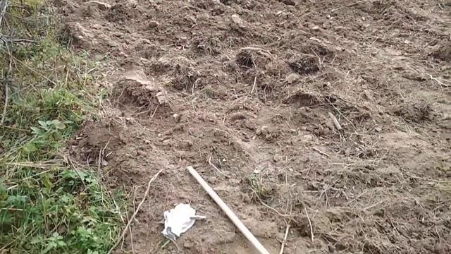 Участок после корчевания пней и удаления деревьев