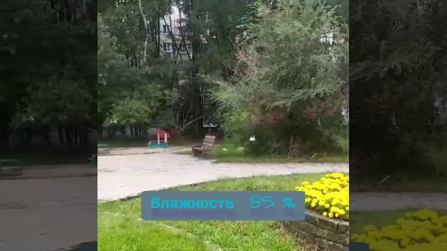 YouCut_20240811_110830026.mp4Барнаул, 11 августа,  погода.