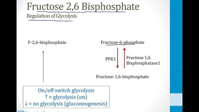 Biochemistry - 2. Metabolism - 2. Glycolysis atf