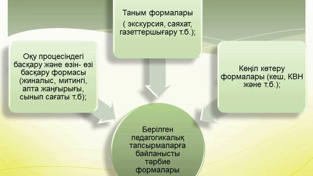 Педагогика Майтанова Н.Е